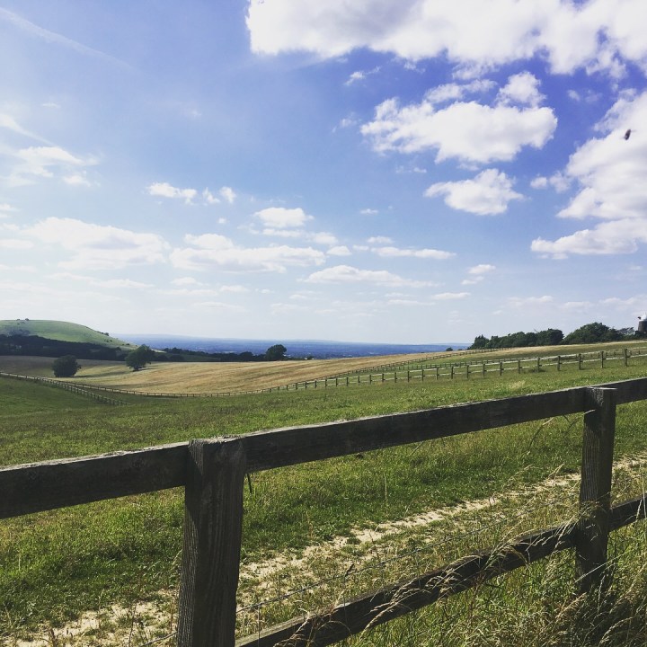 south-downs-view